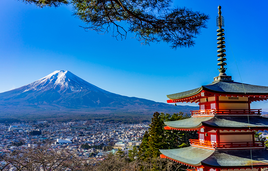 富士山周遊観光